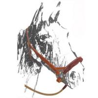 MAREMMANA-HALFTER HANDGEMACHT AUS LEDER