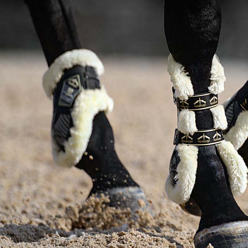 Veredus Carbon Gel Absolute “Save the Sheep” Hintere Gamaschen - Springreit-Schutz - 1626