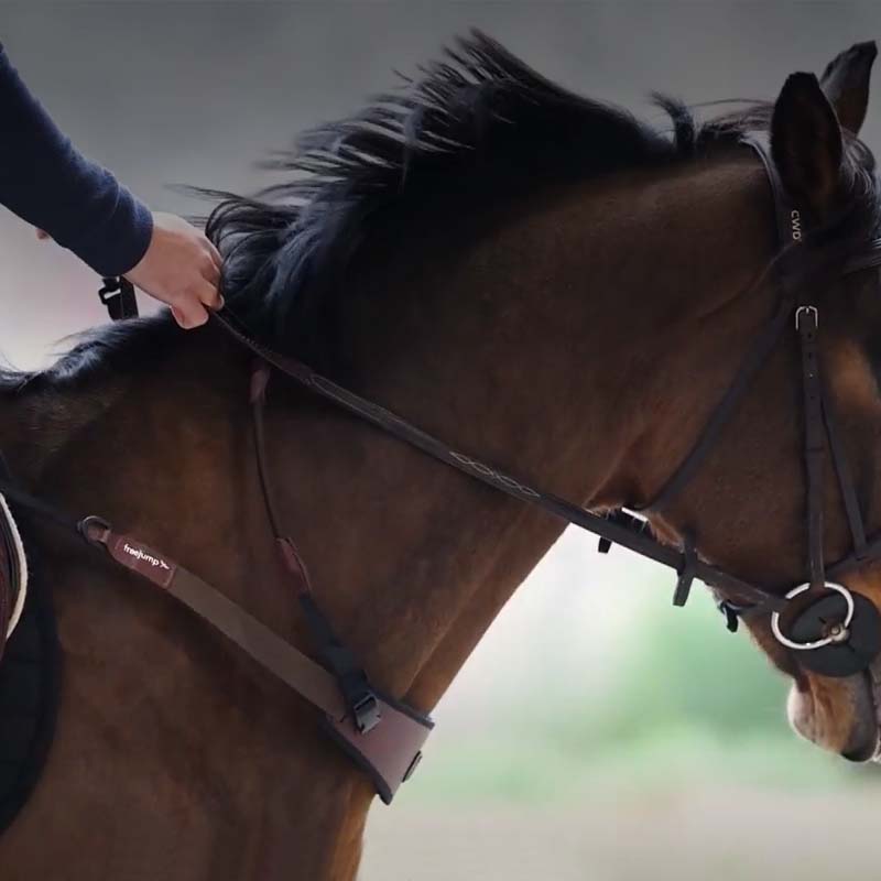Freejump COLLAR - Trainingshilfe für Reiter und Pferd - 2677