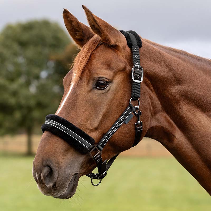 Eleganter Weicher Halter mit Glitzer Satinfaser - 0348