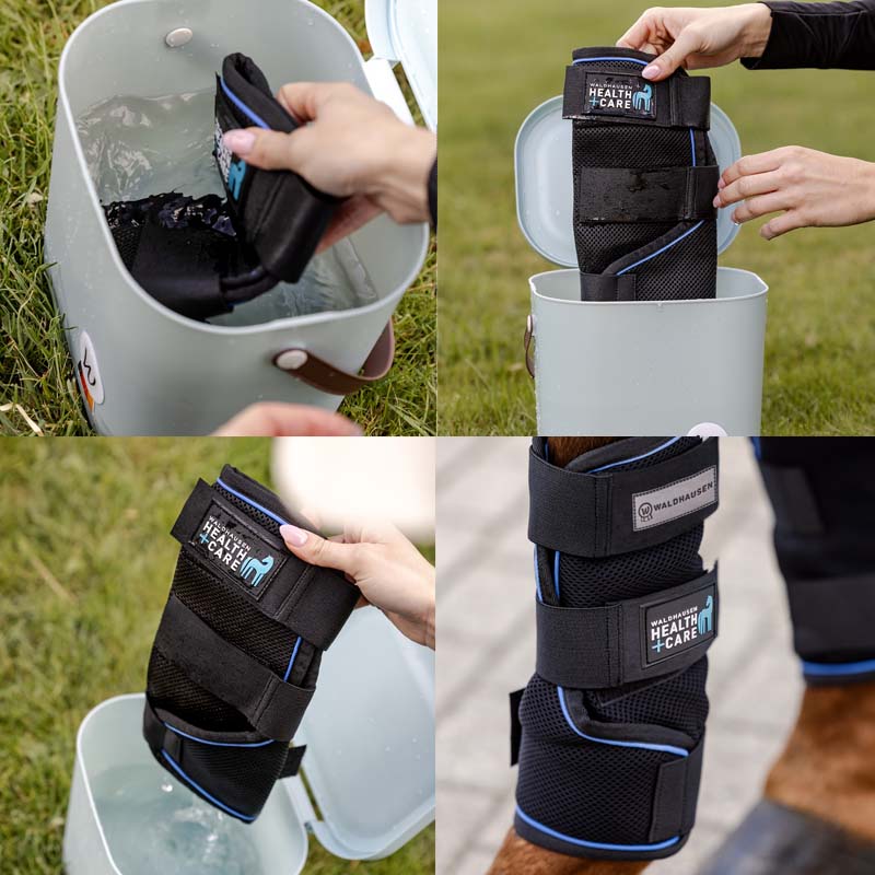 Kühlende Beinwickel Ice Layer für Pferde Waldhausen Health + Care - 1870