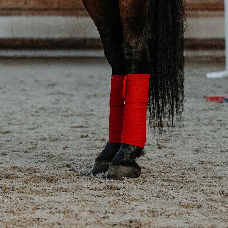 Equitheme Xmas Weihnachts-Polo-Bandagen für Pferde - 9327