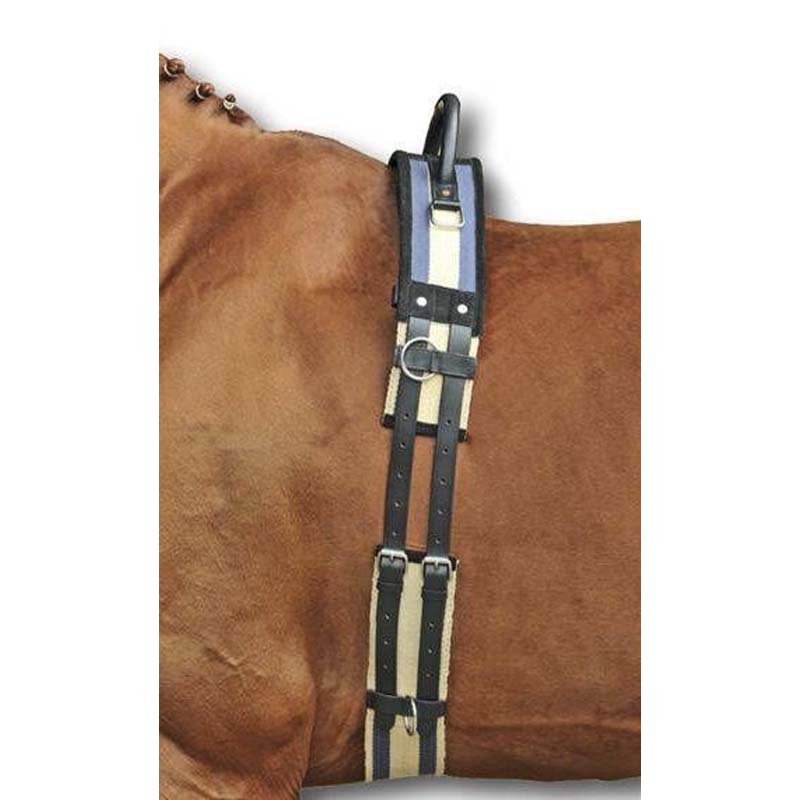Leder HKM Voltigieren Roller mit Taillenweite