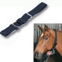 HALSBAND MIT HAKEN FÙR LONGIERLEINE