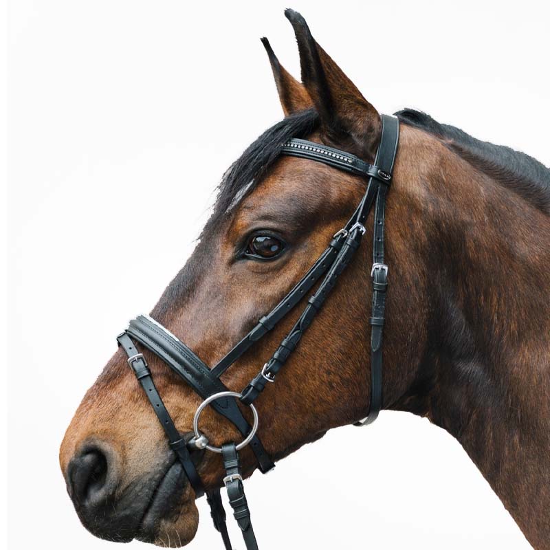 Englische Kandarenzaum Star Diamond mit Strass Verschiedene Farbe - 2330