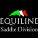 Equiline Saddle Division