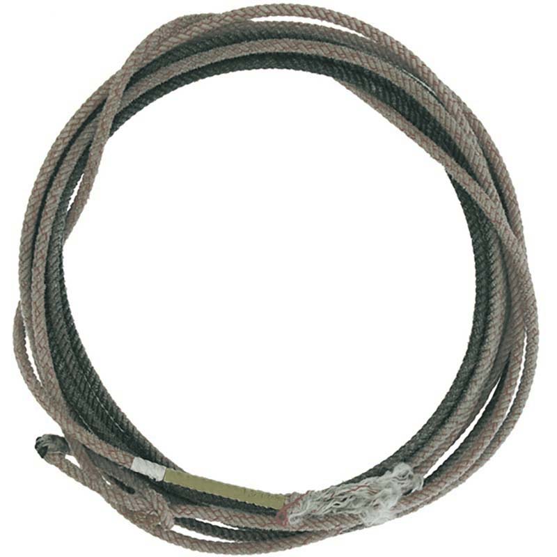 Professionelle usa-lasso pool’s