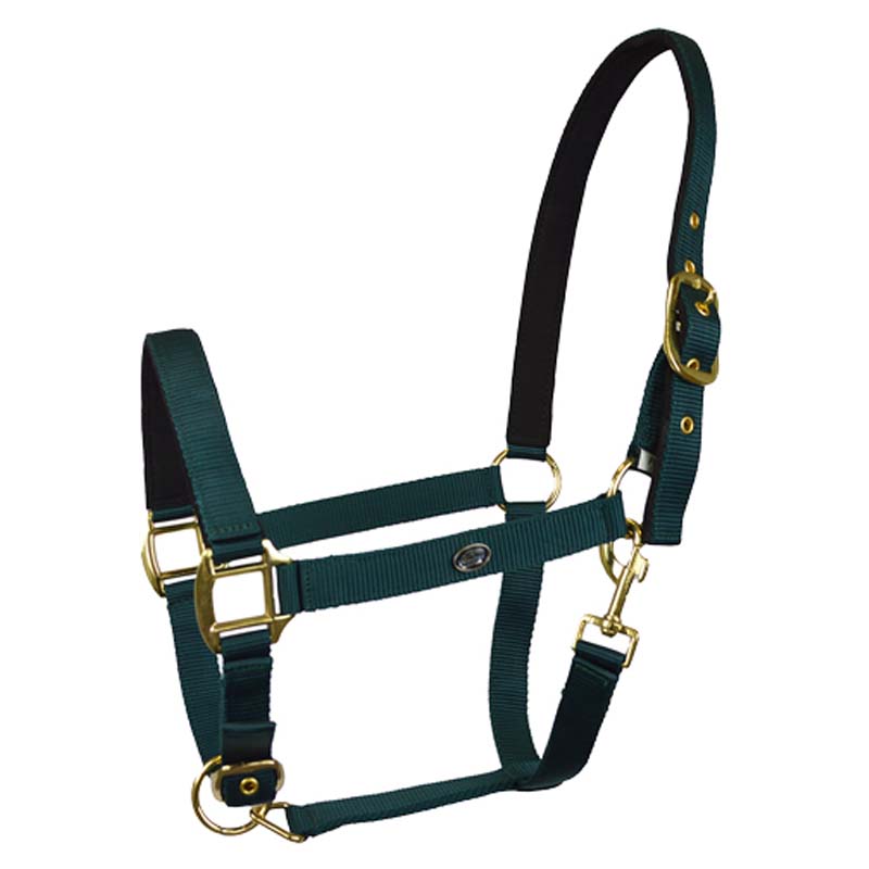 Gepolstertes Halfter aus Nylon mit Doppelte Reguliereung