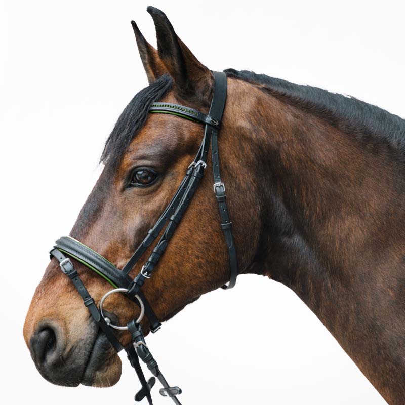 Englische Kandarenzaum Star Diamond mit Strass Verschiedene Farbe - 2330