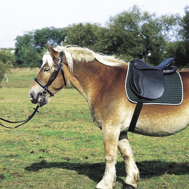 Sattel Trekking mit Grossen Wither für Schwer Draught Horse - 2794