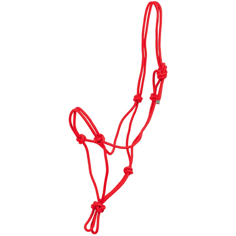 Halfter Cord Knoten Horseman - 0358