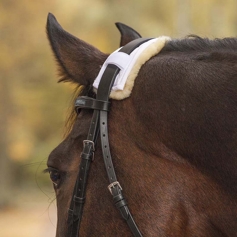 Zaum Polsterung mit Lamm Um Pferd Nose und Kopf ab 28 cm - 2371