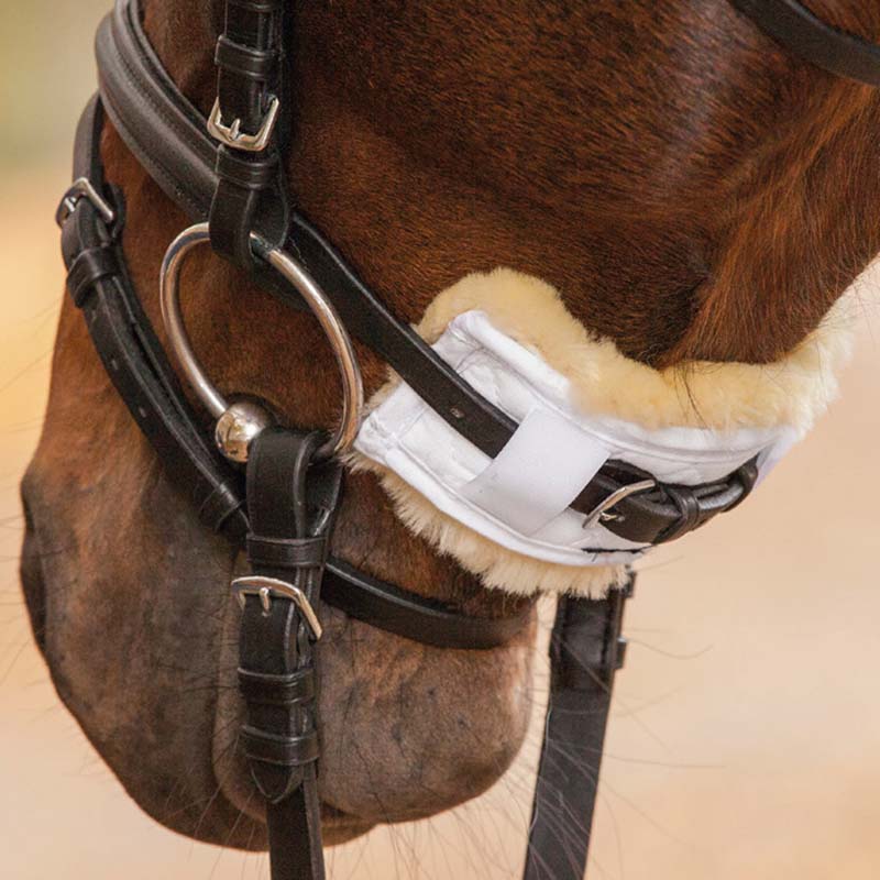 Zaum Padding mit Lamm Um Pferd Nose und Kopf ab 18 cm - 2316