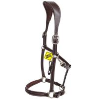 HALFTER LEDER EQUILINE SADDLE DIVISION