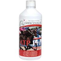 ERGÄNZUNG OFFICINALIS ATP PRO ENERGY