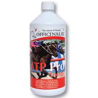 ERGÄNZUNG OFFICINALIS ATP PRO ENERGY