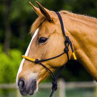 COLOR KNOTS HALTER UND SEIL FÜR NATURAL HORSEMANSHIP