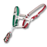NYLON HALFTER EQUESTRO KOMPLETT MIT LONGE