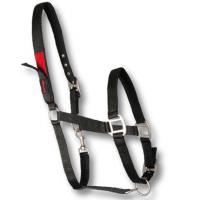 HALFTER NYLON MIT SICHERHEITS ERÖFFNUNG IN VELCRO