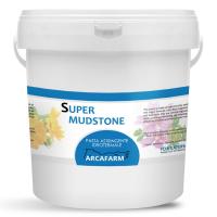 ADSTRINGIERENDE HYDROTERMALE PASTE ARCAFARM SUPER MUDSTONE zu 4 kg