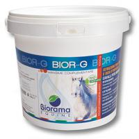 MINERALFAST BIOEQUIPE INTEGRATOR TONIKUM FÜR ANÄMIE RACHITIS UNTERERNÄHRUNG