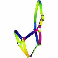 VERSTELLBARES NYLON REGENBOGEN-HALFTER