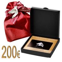 MYSELLERIA GESCHENKKARTE VON Euro 200.00 Weihnachtspaket  - 0157