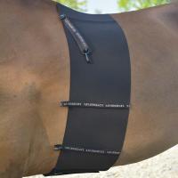 SCHUTZGURTE RESPEKT LOVEHORSES BODY BANDAGE