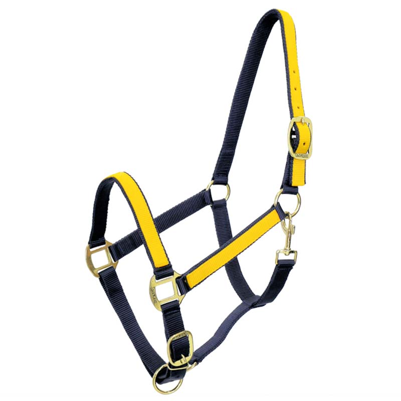 Zweifarbiger synthetikhalfter mit einsätzen