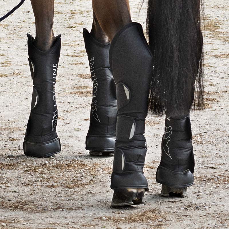 Transportgamaschen Equiline Rex 4 Stück - 1567