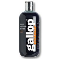 SHAMPOO PFERDE BLACK GALOPP CARR & DAY & MARTIN