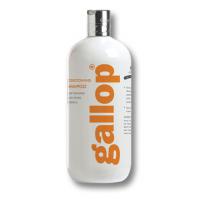 SHAMPOO GALLOP DAILY USE CARR & DAY & MARTIN