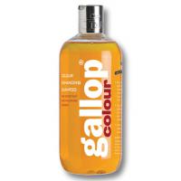 SHAMPOO PFERDE GALOPP CHESTNUT & PALOMINO CARR & DAY & MARTIN