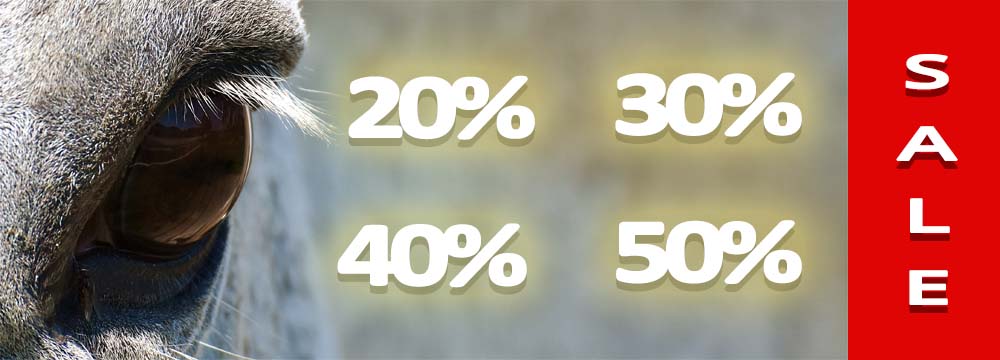 Der Verkauf hat begonnen: Rabatte bis zu -50%