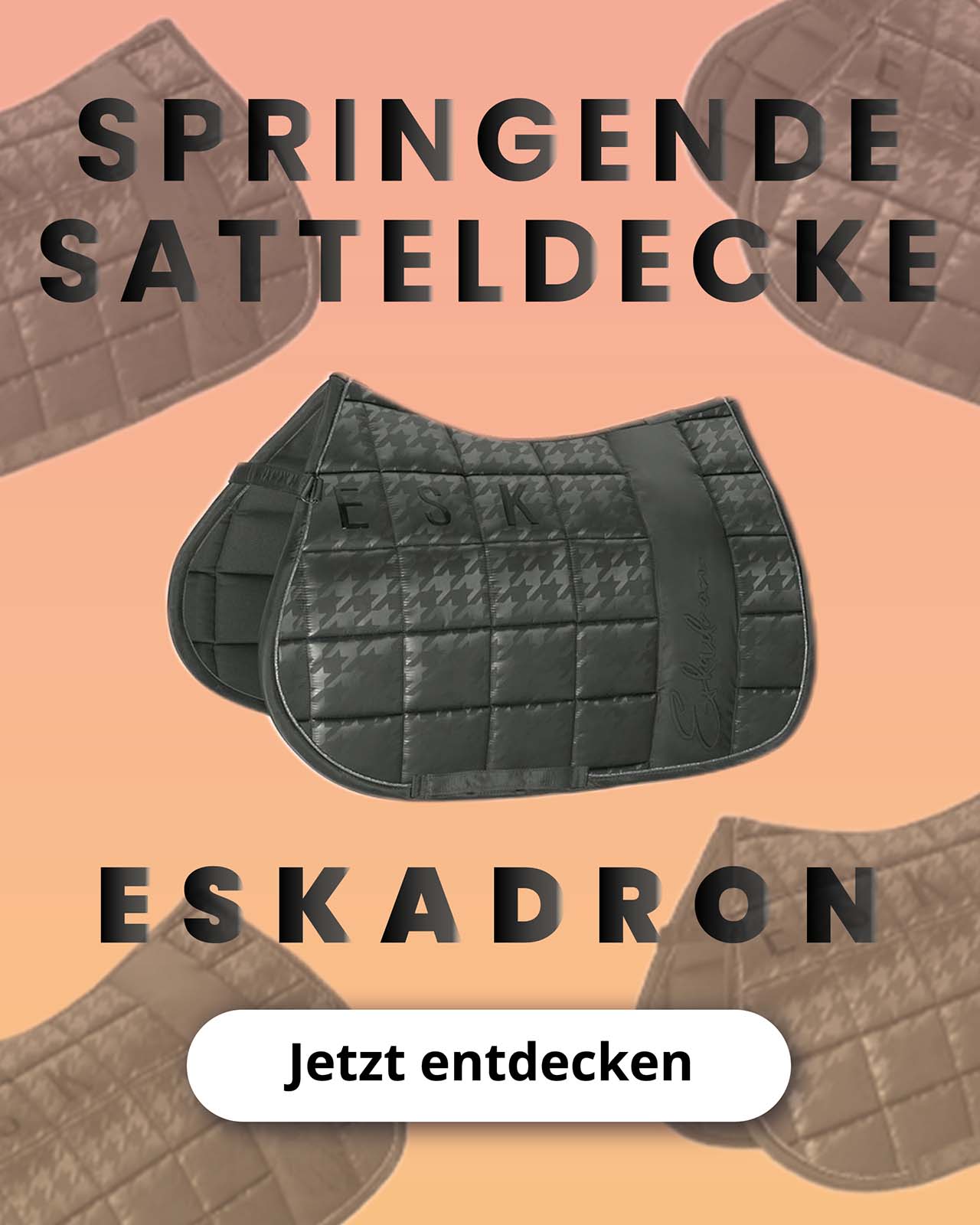 Entdecken Sie die animo Kollektion
