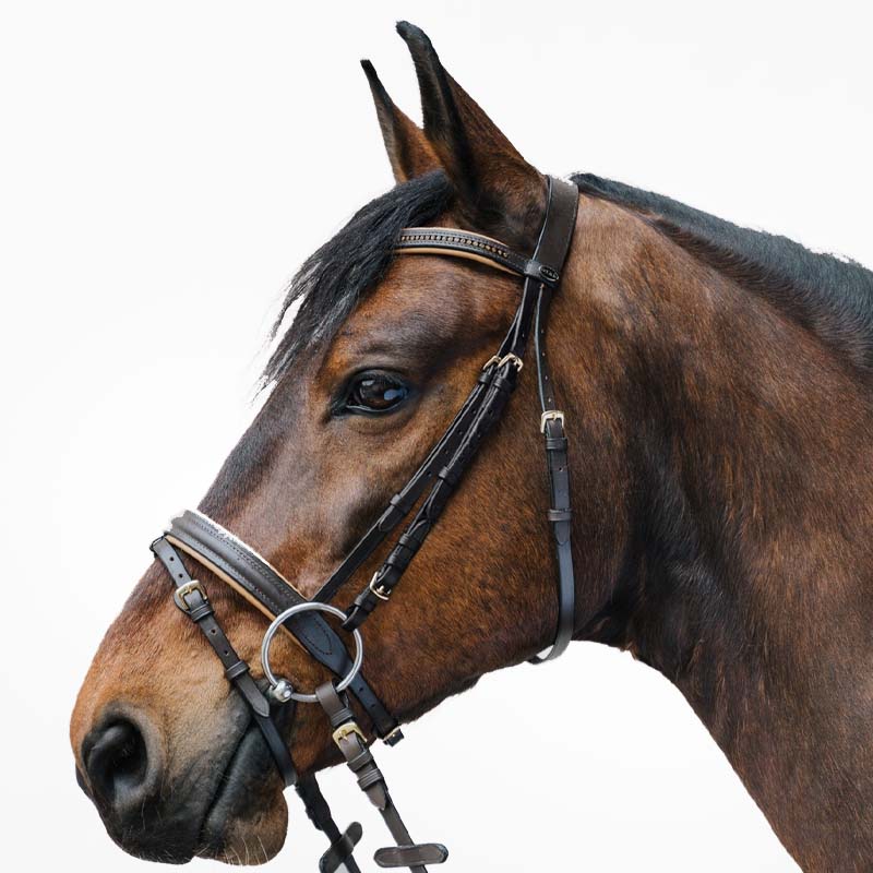 Englische Kandarenzaum Star Diamond mit Strass Verschiedene Farbe - 2330