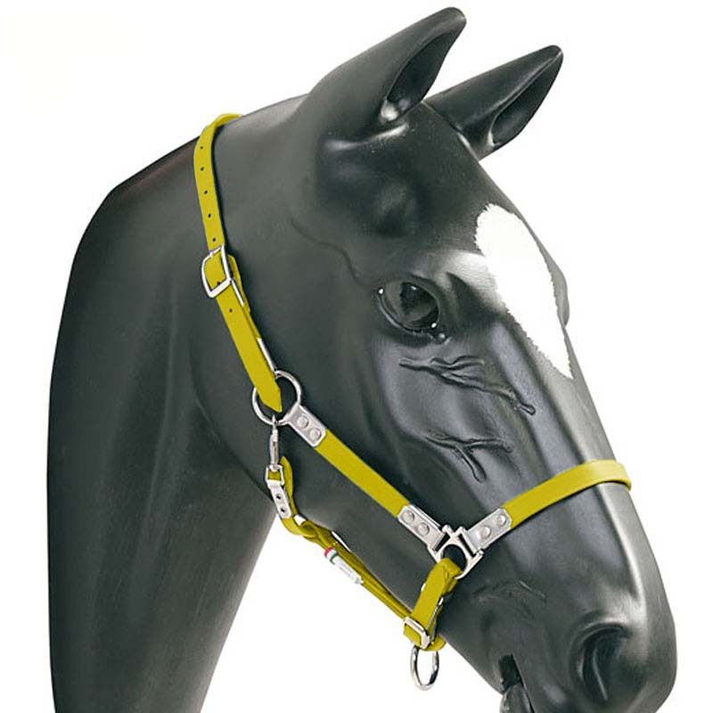 Halfter in Heavy Duty Biothane Pioneer