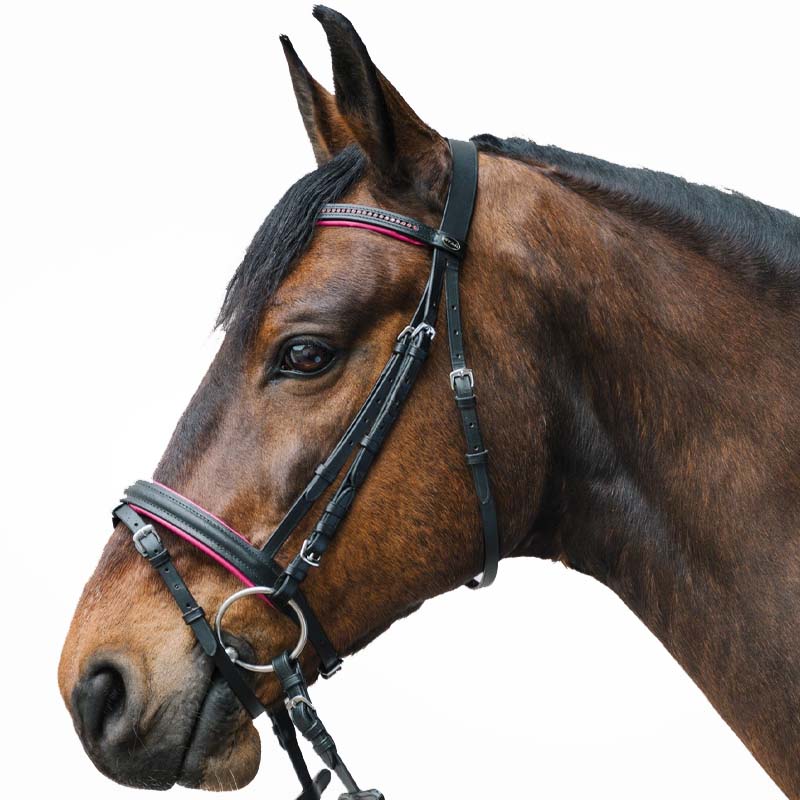 Englische Kandarenzaum Star Diamond mit Strass Verschiedene Farbe - 2330